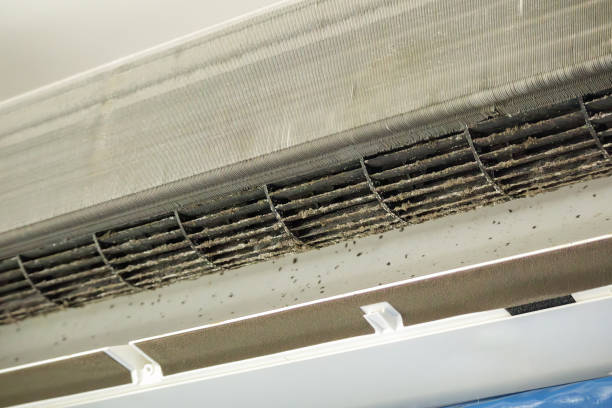 Best Professional Duct Cleaning Services  in Keasbey, NJ